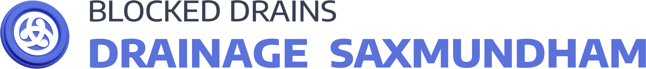 website logo